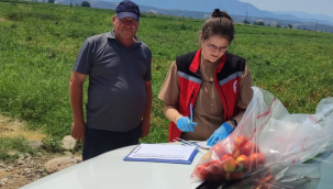 Yaş sebze ve meyvelerden hasat öncesi 1084 numune alındı