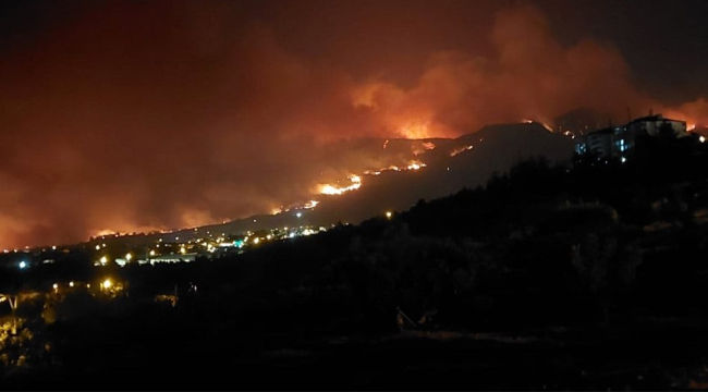 5 Gündür söndürülemeyen Buldan orman yangını Aydın'a sıcradı