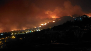 5 Gündür söndürülemeyen Buldan orman yangını Aydın'a sıcradı