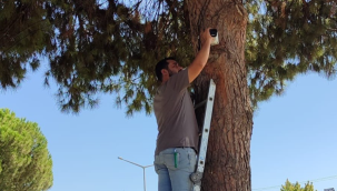 Ahmetli'de vatadaşların güveliği kameralara emanet