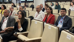 Başkan Çetin yeni yerel emokrasiye doğru çalıştayına katıldı