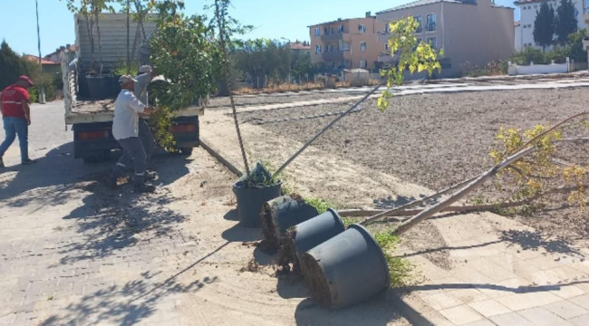 Belediyeden daha yeşil bir Soma için fidan dikimi