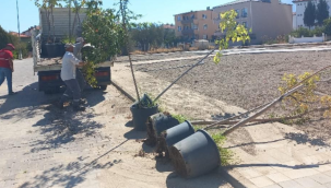 Belediyeden daha yeşil bir Soma için fidan dikimi
