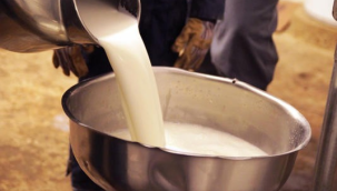 Çiğ sütün yeni fiyatı belli oldu! rakam üreticilerin keyfini kaçırdı