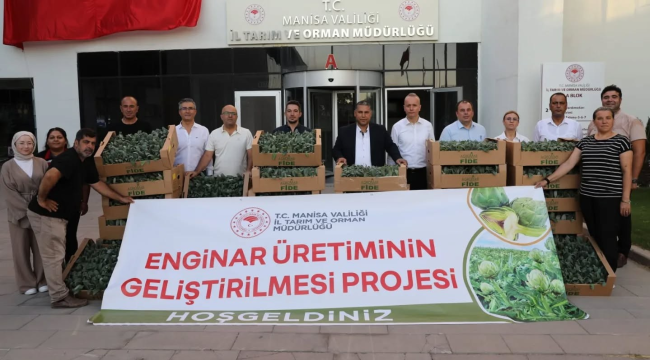 Enginar üretimini geliştirme projesi Soma, Demirci, Kırkağaç ve Şehzadeler hayata geçirilecek 