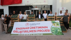 Enginar üretimini geliştirme projesi Soma, Demirci, Kırkağaç ve Şehzadeler hayata geçirilecek