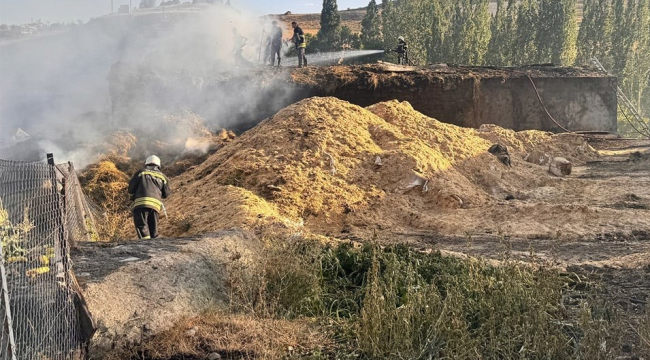 Erzurum'da çıkan yangında 15 ev 10 ahır kül oldu