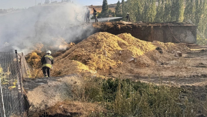 Erzurum'da çıkan yangında 15 ev 10 ahır kül oldu