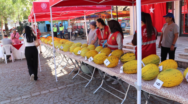 Kırkağaç'ın en güzel kavunlar seçildi