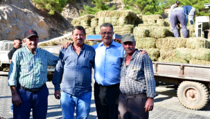 Osmaniye mahallesinde belediye çiftçilere ücretsiz yonca dağıtımı yaptı