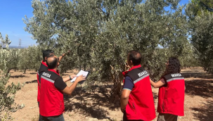 Rekolte tespit çalışmaları 17 ilçede başladı