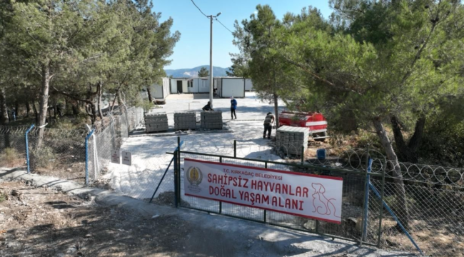 Sahipsiz hayvanlar doğal yaşam alanı hizmete girdi! 