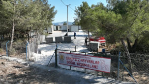 Sahipsiz hayvanlar doğal yaşam alanı hizmete girdi! 