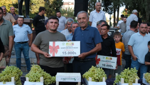 Sarıgöl'ün en güzel üzümü