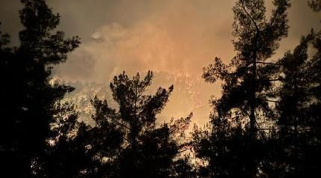 Yangın büyüyor, tahliyeler başladı!