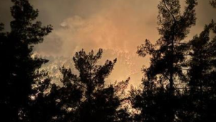 Yangın büyüyor, tahliyeler başladı!