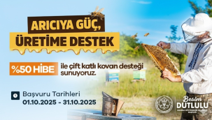 Yüzde 50 hibeli çift katlı kovan dağıtılacak