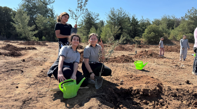 Bodrum'da 100 öğrenci 300 zeytin fidanını toprakla buluşturdu