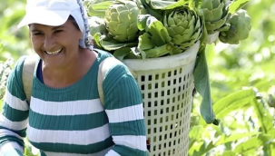 15 Ekim Dünya kadın çiftçiler günü kutlu olsun