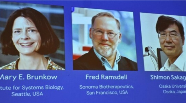 2025 yılı Nobel tıp ödülü'nün sahibi belli oldu