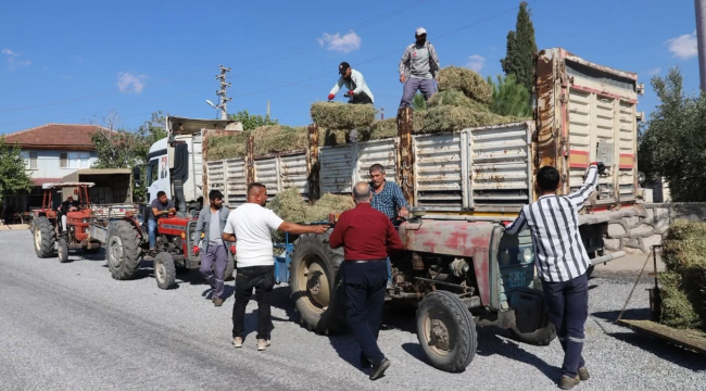 Alaşehir belediyesi hayvan üreticilerine ücretsiz yonca ve saman dağıttı