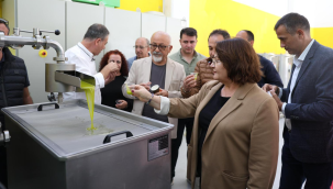 Başkan Gençay ''zeytini korumak geleceğimizi korumaktır''