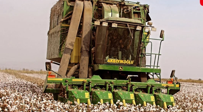 "Beyaz altın"pamuğun hasadı sorunlu başladı