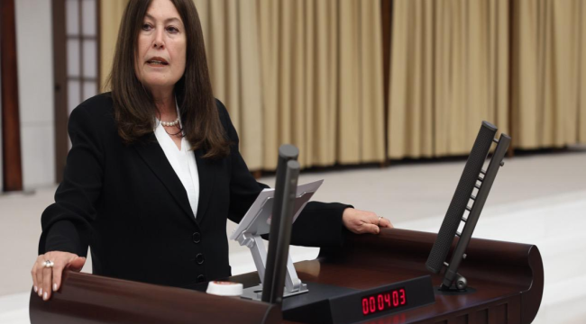 İYİ Parti Manisa milletvekili Sunat ekonomisi kitlenen Soma'yı TBMM taşıdı