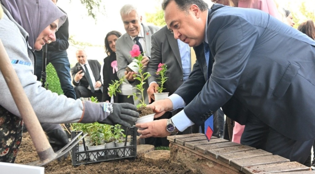 Meme kanseri sembolü pembe çiçekler ekildi