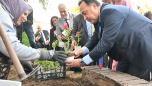 Meme kanseri sembolü pembe çiçekler ekildi