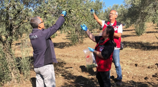 Organik tarım ürünlerinden numune alma sürüyor
