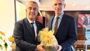 Ziyarette yatırımlar ve yapılacak projeler ele alındı