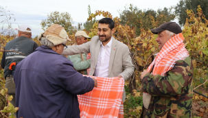 Ahmetli belediyesi üzüm bağlarında budama yapan üreticilere sarık hediye etti