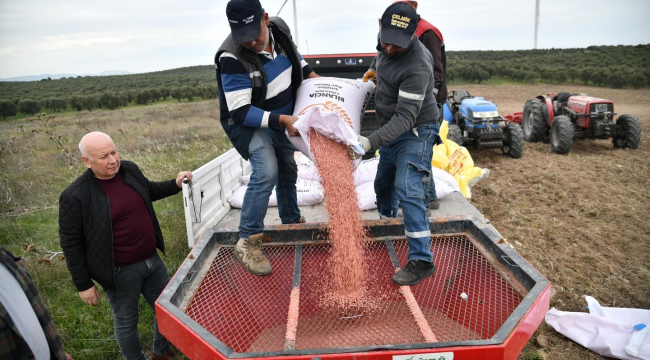 Akhisar belediyesi buğday ve arpa ekimi gerçekleştirildi