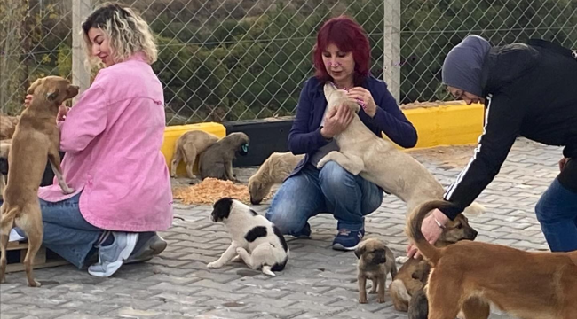 Alaşehir sokak hayvanları doğal yaşam alanı hizmete açıldı