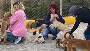 Alaşehir sokak hayvanları doğal yaşam alanı hizmete açıldı