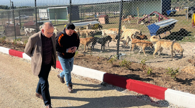 Başkan Akın hafta sonunu da çalışarak geçirdi