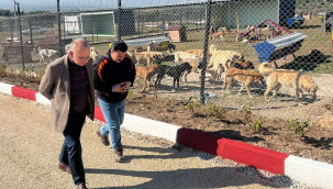 Başkan Akın hafta sonunu da çalışarak geçirdi