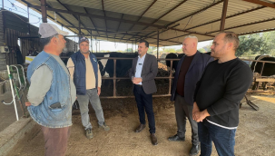 CHP milletvekiline dert yanan üreticiler''Bu yıl kriz büyük''