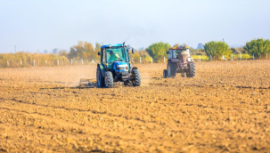 Didim belediyesi "Didyma"markasıyla doğal un üretecek 
