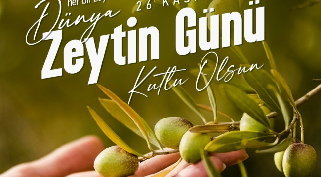 Dünya zeytin günü kutlu olsun