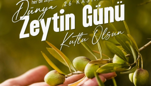 Dünya zeytin günü kutlu olsun