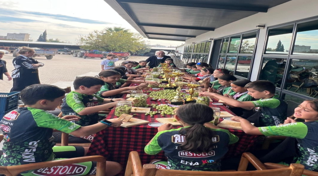 Haydi Türkiye,kalp kırma zeytin kır