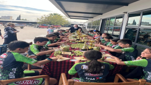 Haydi Türkiye,kalp kırma zeytin kır