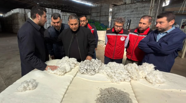 Manisa'da 1.590 bin pamuk üreticisi var