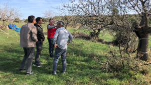 Manisa'da ürün çeşitliği artıyor