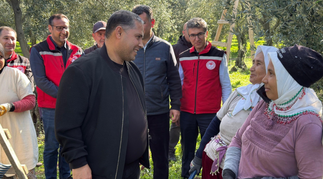 Müdür Karayılan ''zeytinde üretim, sanayi ve ihracat boyutuyla Manisa için stratejik öneme sahiptir''