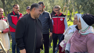 Müdür Karayılan ''zeytinde üretim, sanayi ve ihracat boyutuyla Manisa için stratejik öneme sahiptir''