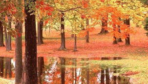 Sonbahar güzelliğinin doğaya yansıması
