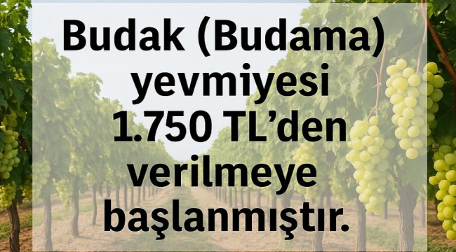 5 ilçede uygulanacak yeni budama ücreti belli oldu